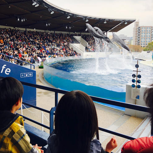 京都水族館