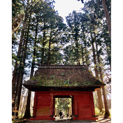 戸隠神社