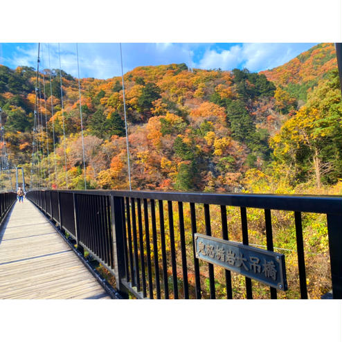 鬼怒楯岩大吊橋