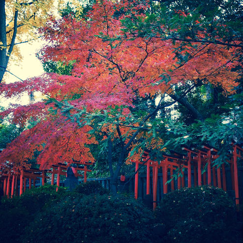 根津神社