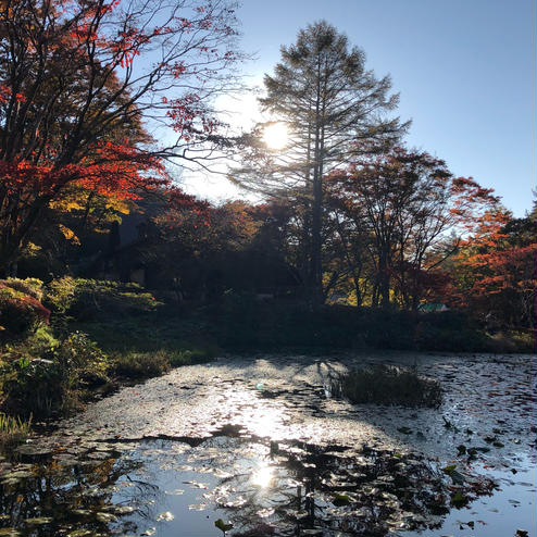 六甲高山植物園