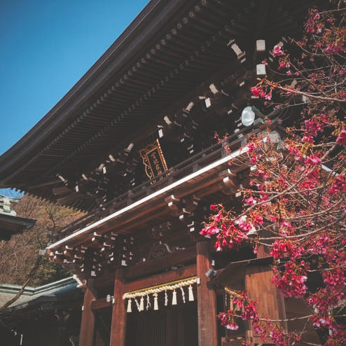 宮地嶽神社