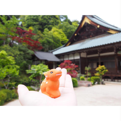 大本山大聖院