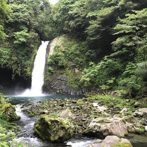 浄蓮の滝