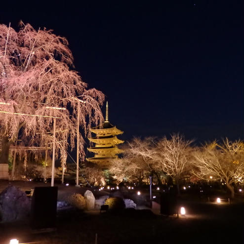 東寺