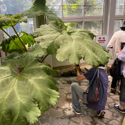 京都府立植物園