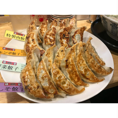 宇都宮餃子専門店 悟空