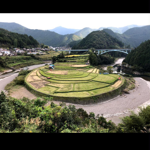 あらぎ島