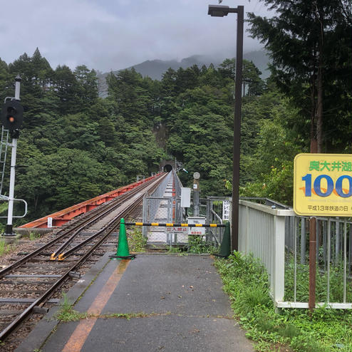 奥大井湖上駅