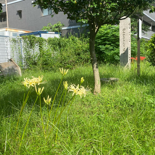 佐女牛井之跡