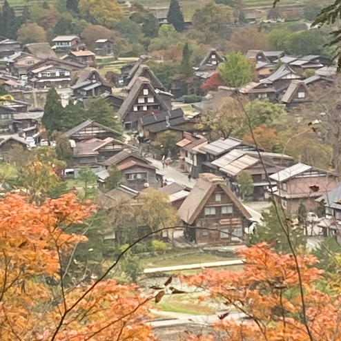 白川郷合掌造り集落