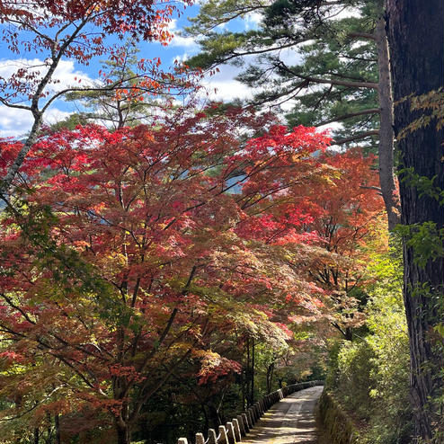 吉野山