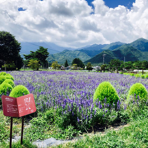 松川村 安曇野ちひろ公園