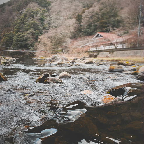 湯原温泉