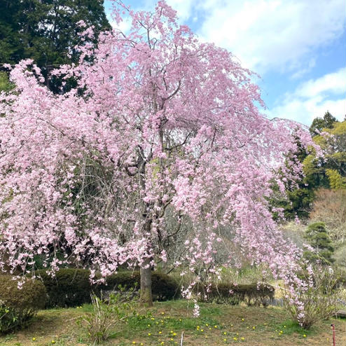 西山御殿（西山荘）