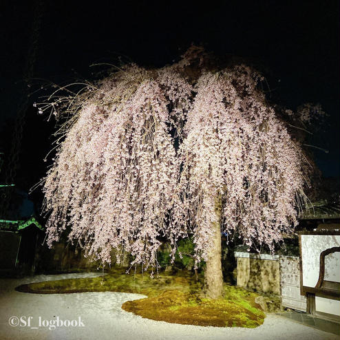 高台寺