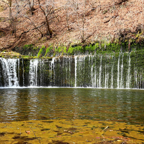 白糸の滝