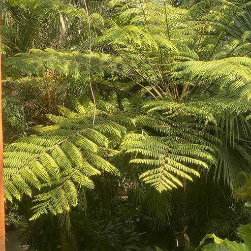 京都府立植物園