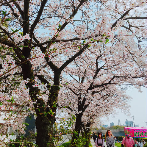 平和記念公園