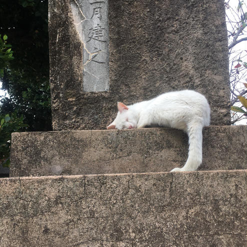 宮古神社