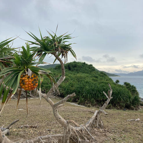 座間味島