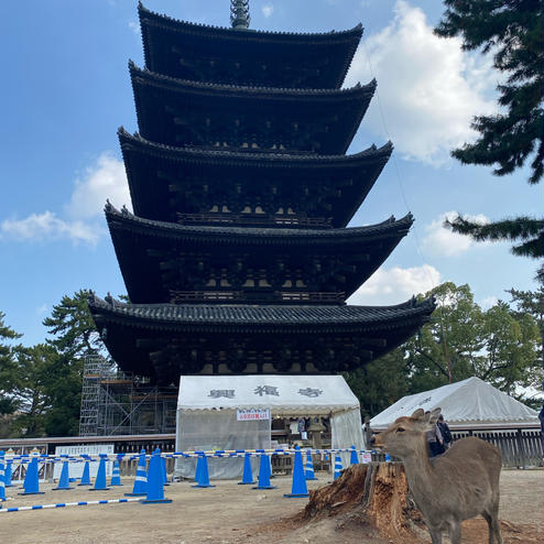 興福寺