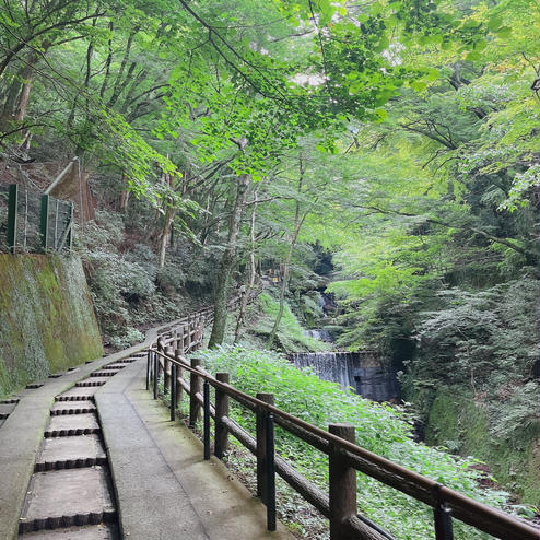 養老の滝