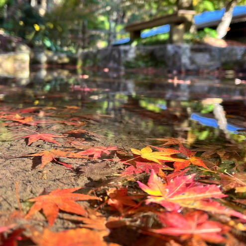 環境芸術の森