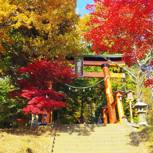 新倉山浅間公園