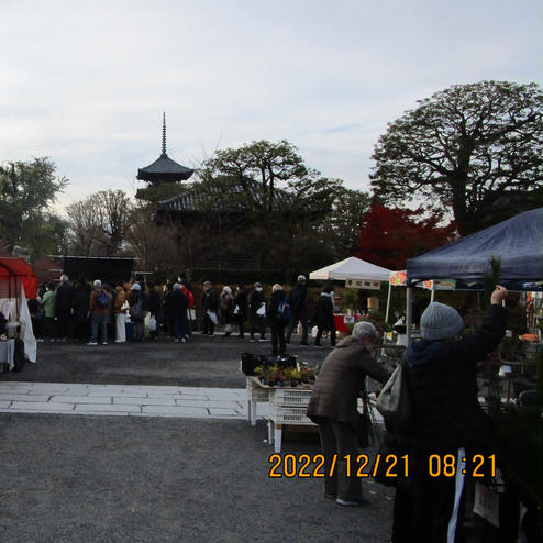 東寺