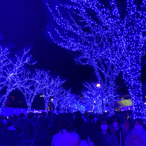 青の洞窟 SHIBUYA（渋谷公園通り〜代々木公園）