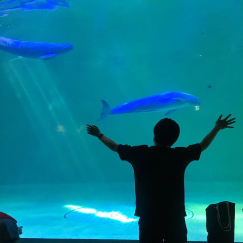 鳥羽水族館