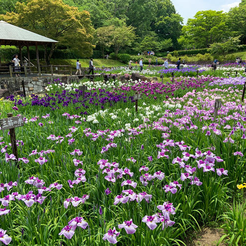 馬見丘陵公園