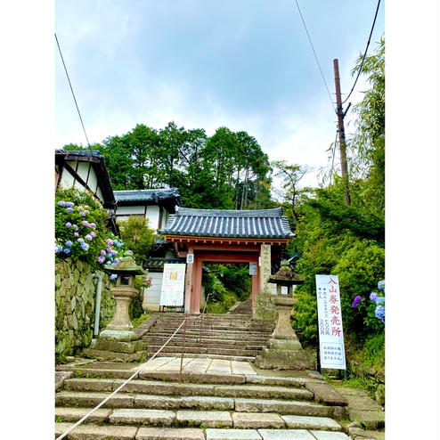 矢田寺（金剛山寺）