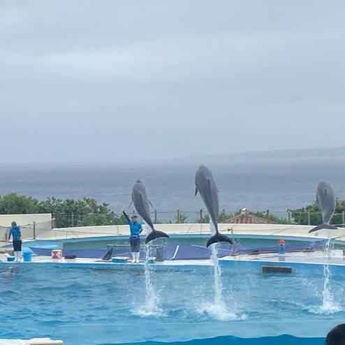 沖縄美ら海水族館