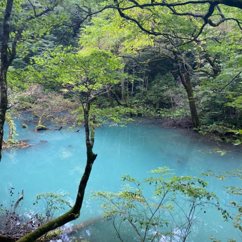 沸壺の池