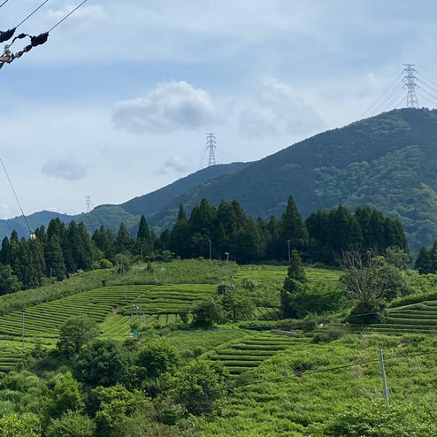 岐阜のマチュピチュ