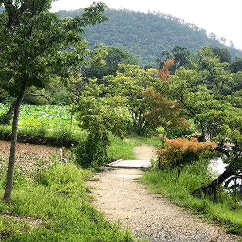 旧嵯峨御所 大本山 大覚寺