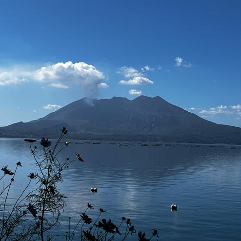 桜島