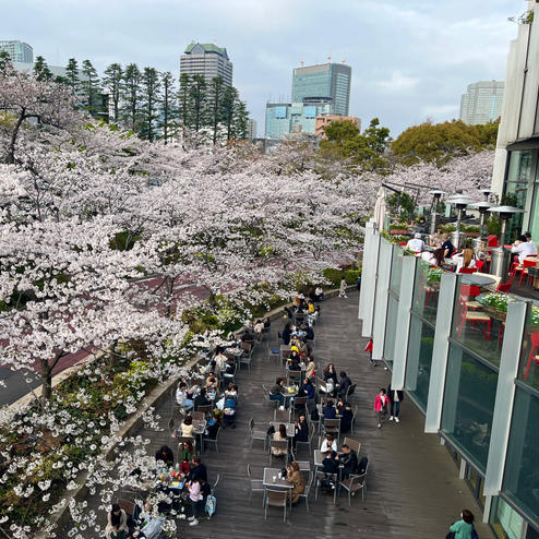 東京ミッドタウン