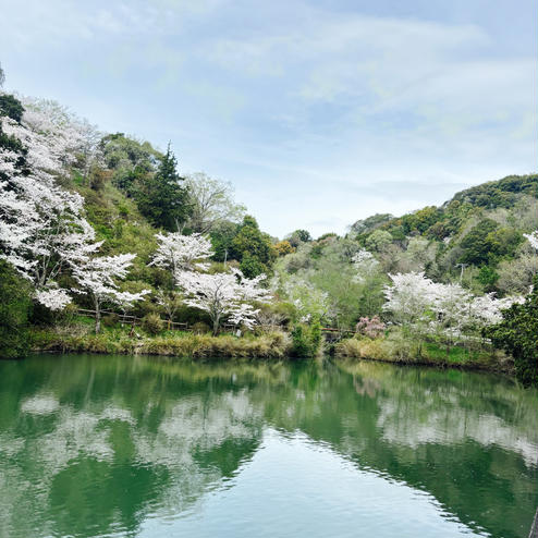 動鳴気峡