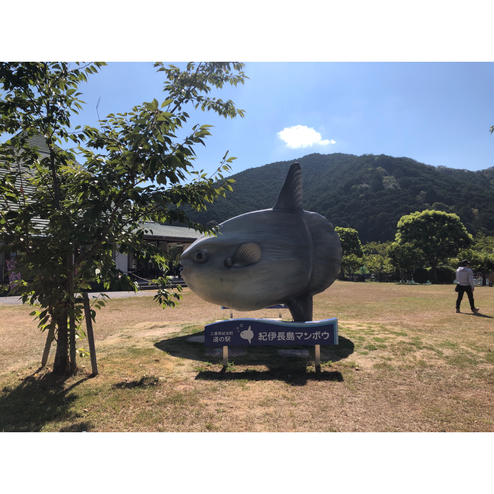 道の駅 紀伊長島マンボウ