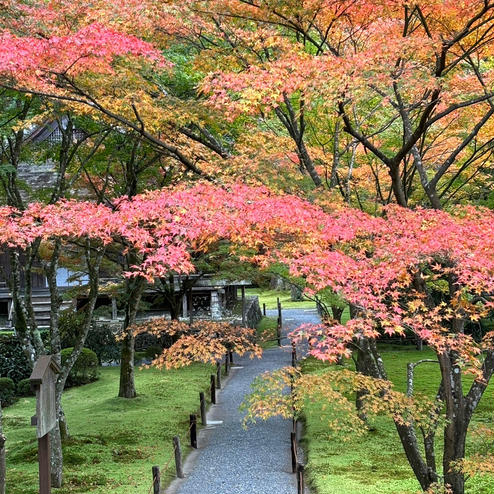 三千院