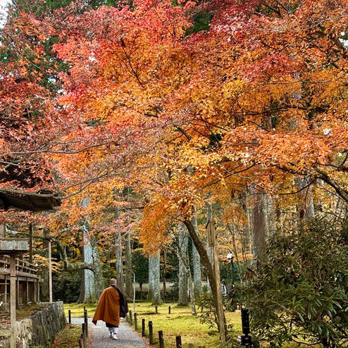 三千院