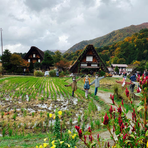 白川郷合掌造り集落