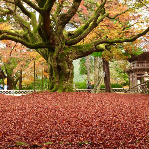 雷山千如寺 大悲王院