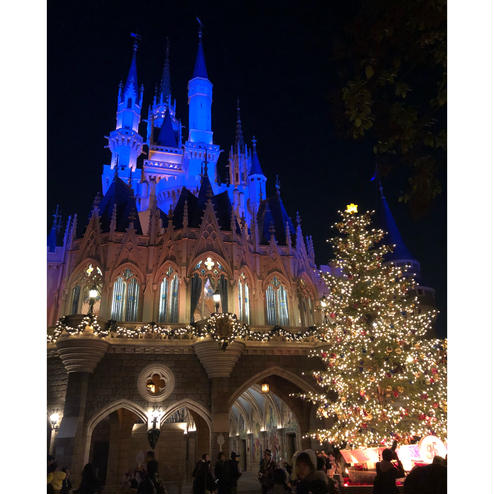 東京ディズニーランド